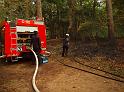 Waldbrand Bergisch Gladbach Bensberg P161